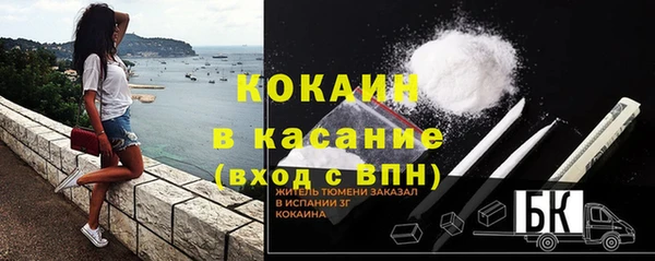 крисы Абаза
