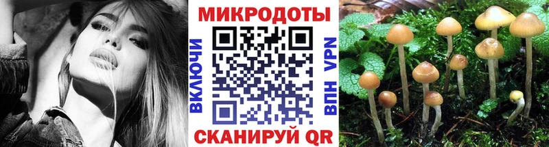 купить  цена  Тихвин  Галлюциногенные грибы мухоморы 